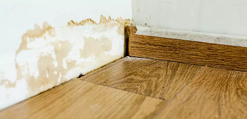 Professional Fix Water Damaged Wood Services in Ellijay, GA