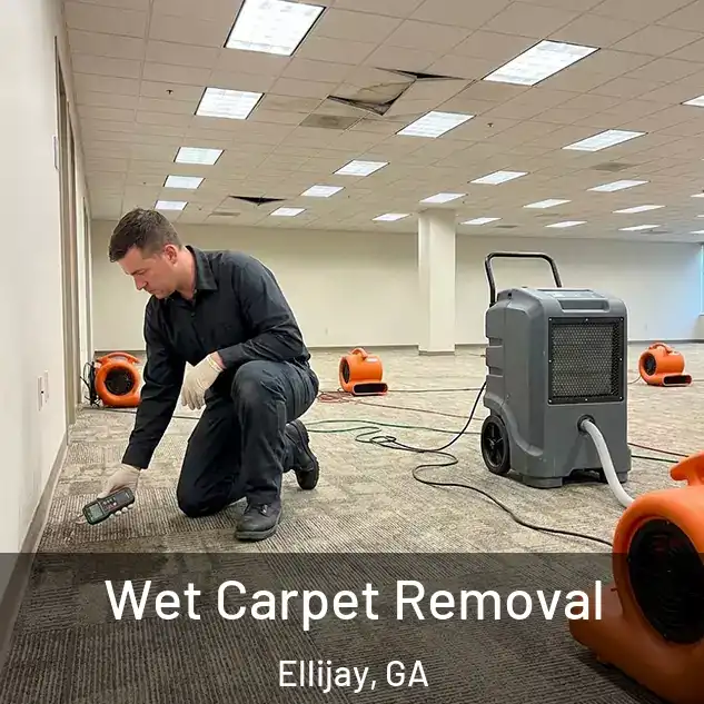  Wet Carpet Removal Ellijay, GA